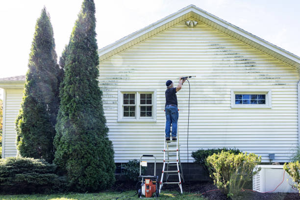 Best Deck Pressure Washing  in Lake Hamilton, FL